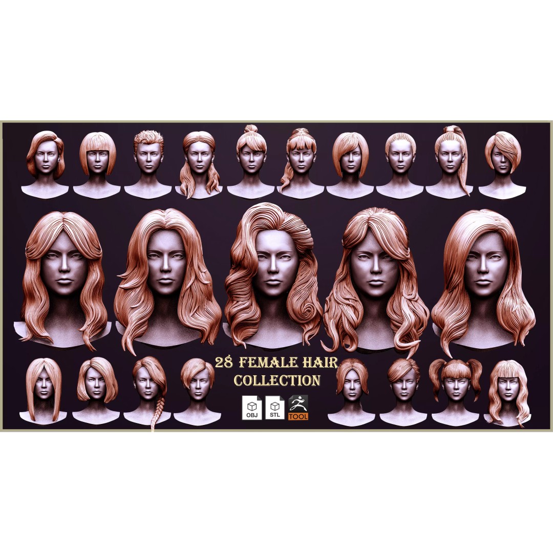 Female Hair 3D Model – High Poly Collection, ZTL, OBJ, STL - View 2