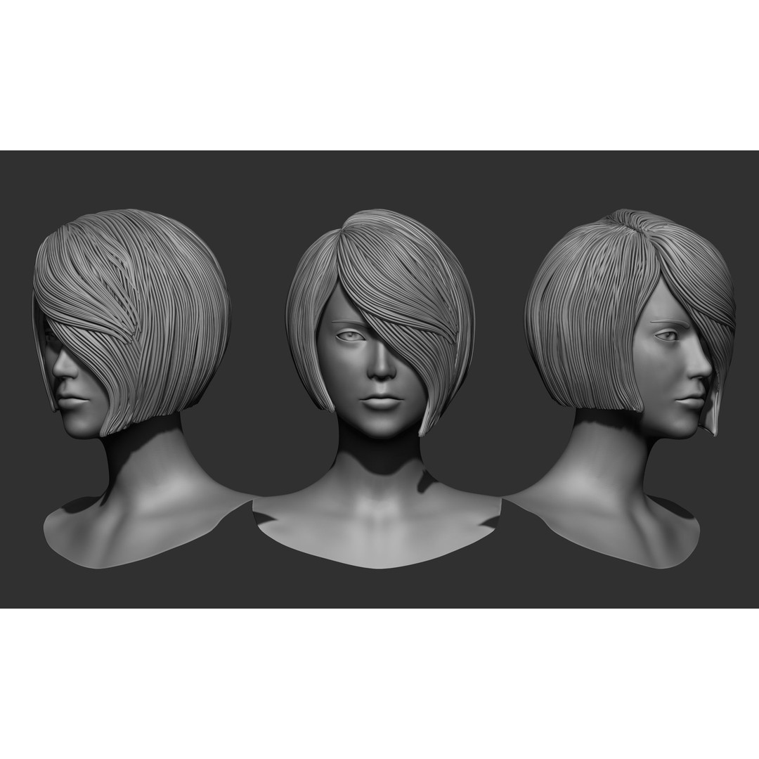 Female Hair 3D Model – High Poly Collection, ZTL, OBJ, STL - View 21