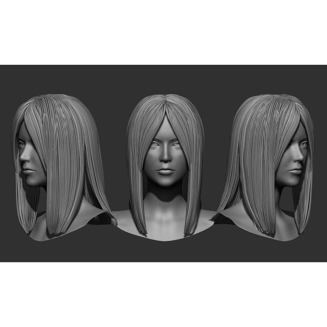 Female Hair 3D Model – High Poly Collection, ZTL, OBJ, STL - View 23