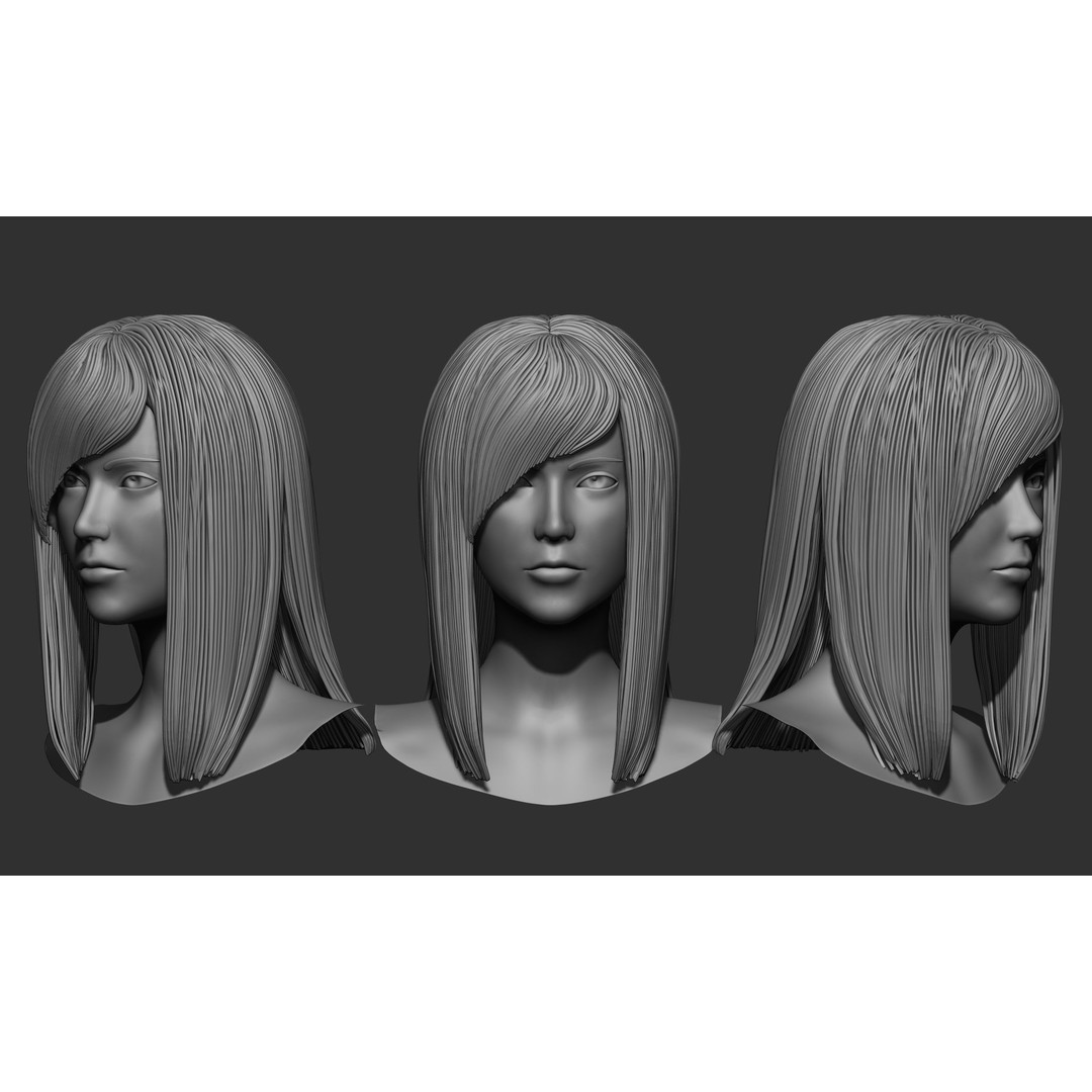 Female Hair 3D Model – High Poly Collection, ZTL, OBJ, STL - View 25