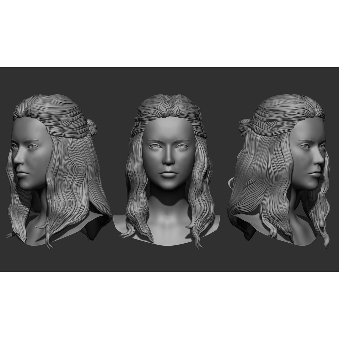Female Hair 3D Model – High Poly Collection, ZTL, OBJ, STL - View 27