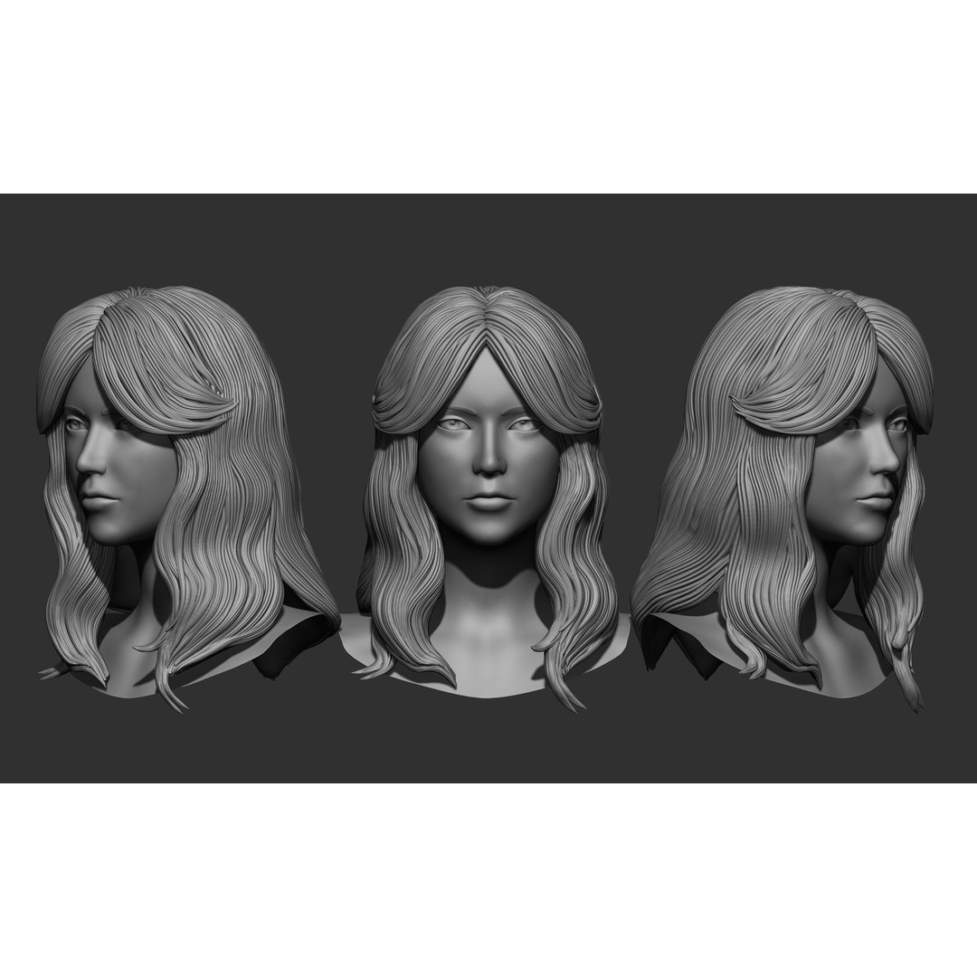 Female Hair 3D Model – High Poly Collection, ZTL, OBJ, STL - View 29