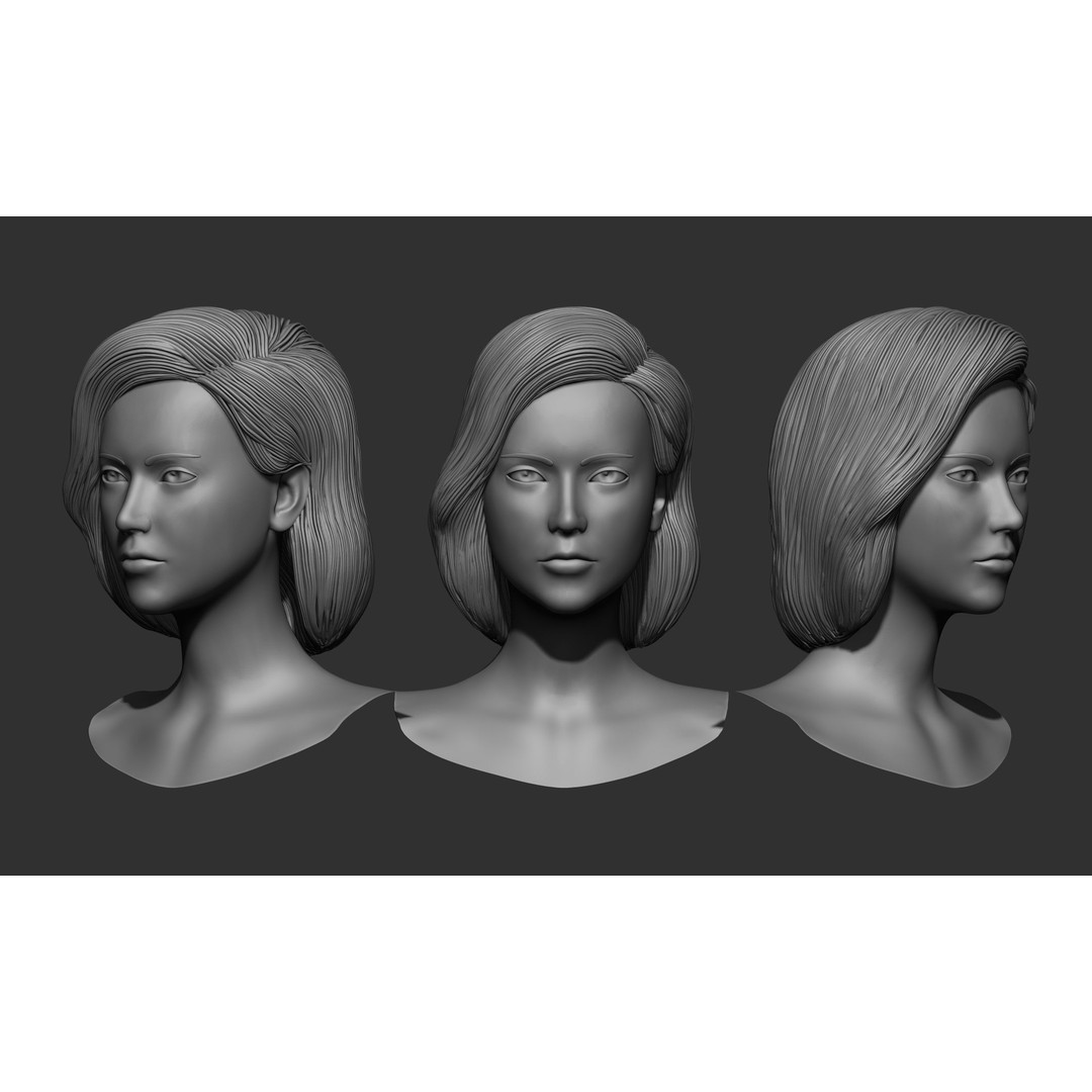 Female Hair 3D Model – High Poly Collection, ZTL, OBJ, STL - View 3