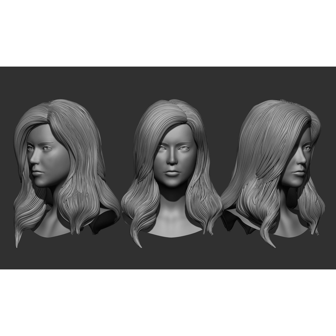 Female Hair 3D Model – High Poly Collection, ZTL, OBJ, STL - View 31