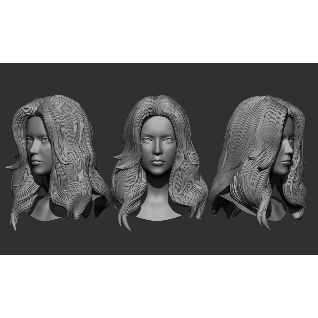 Female Hair 3D Model – High Poly Collection, ZTL, OBJ, STL - View 33