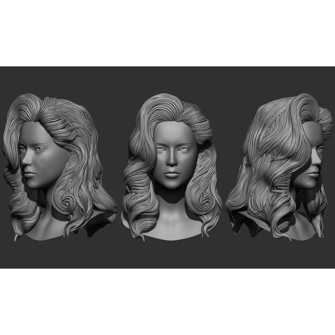 Female Hair 3D Model – High Poly Collection, ZTL, OBJ, STL - View 35