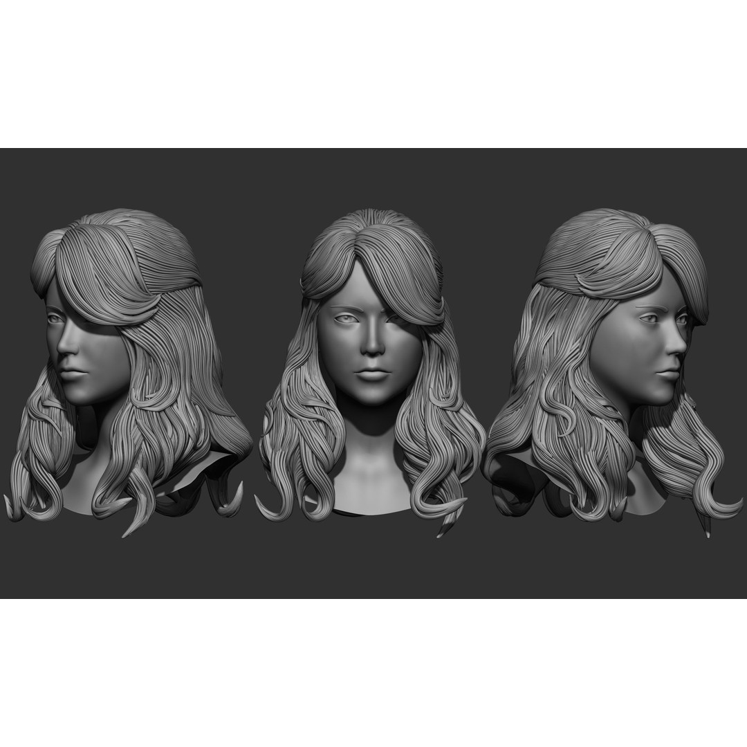Female Hair 3D Model – High Poly Collection, ZTL, OBJ, STL - View 37