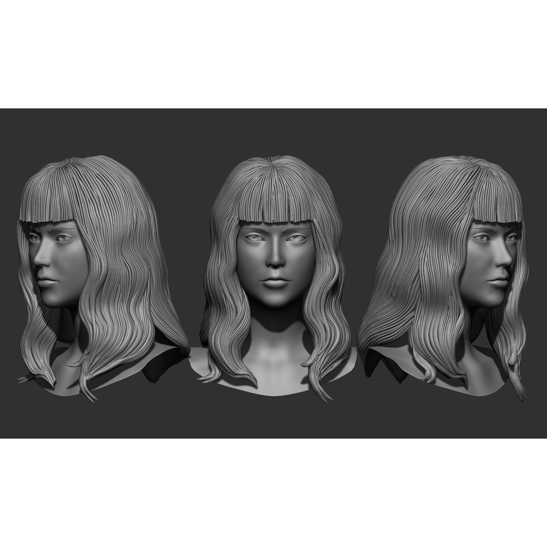 Female Hair 3D Model – High Poly Collection, ZTL, OBJ, STL - View 39