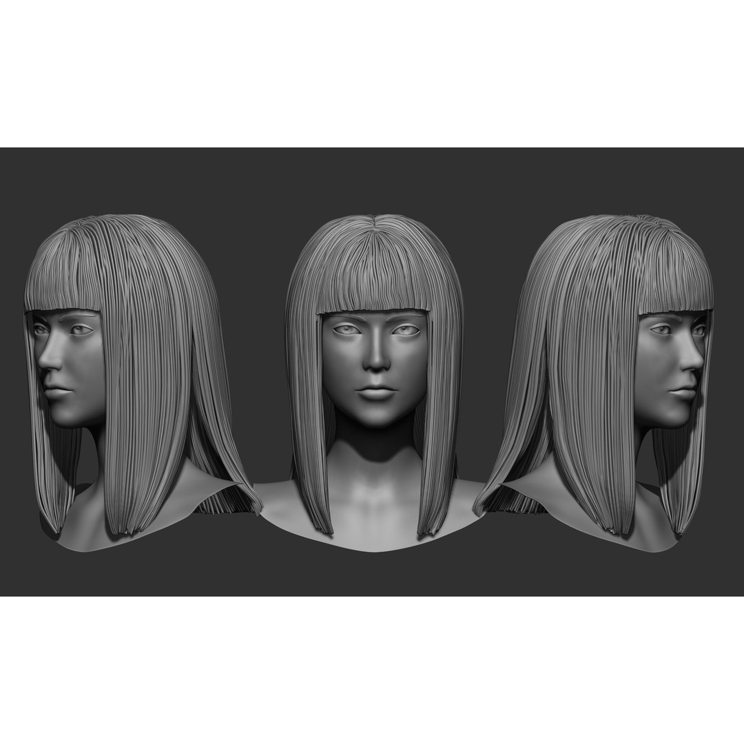 Female Hair 3D Model – High Poly Collection, ZTL, OBJ, STL - View 41