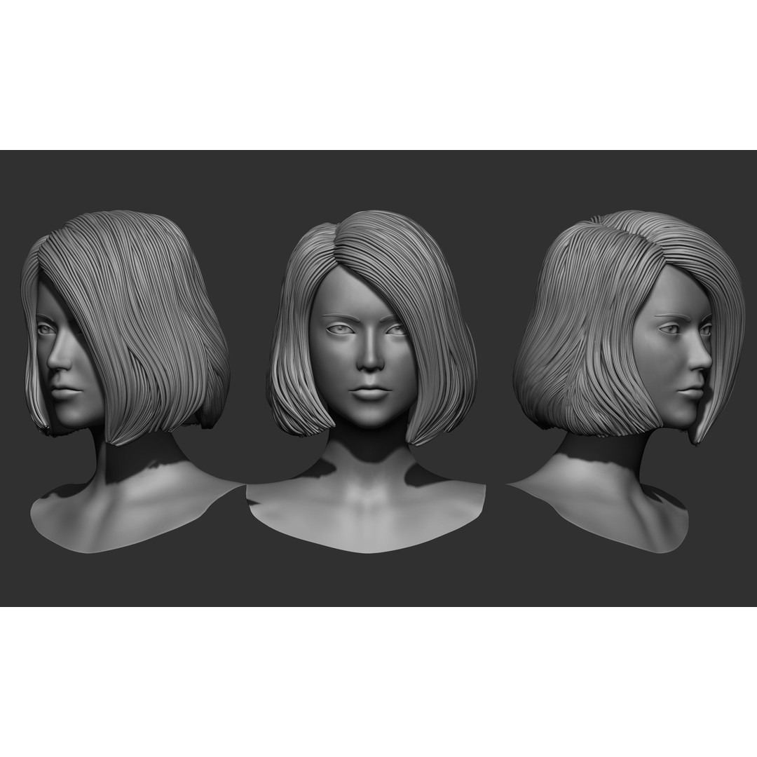 Female Hair 3D Model – High Poly Collection, ZTL, OBJ, STL - View 43