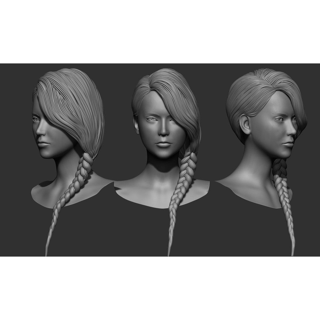 Female Hair 3D Model – High Poly Collection, ZTL, OBJ, STL - View 45