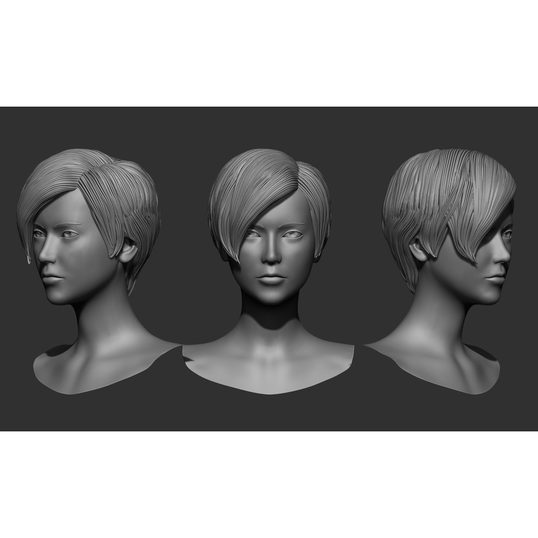 Female Hair 3D Model – High Poly Collection, ZTL, OBJ, STL - View 47