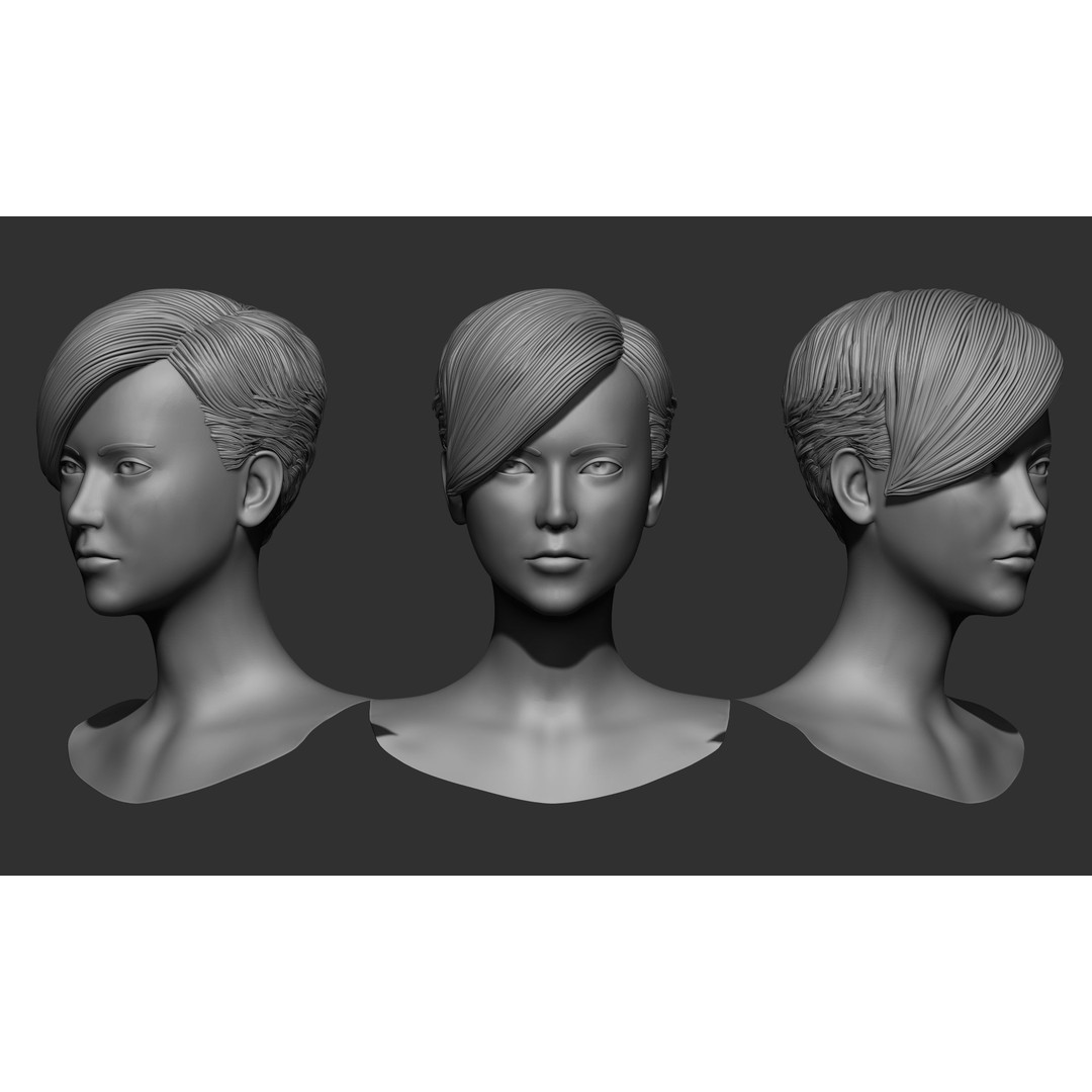 Female Hair 3D Model – High Poly Collection, ZTL, OBJ, STL - View 49