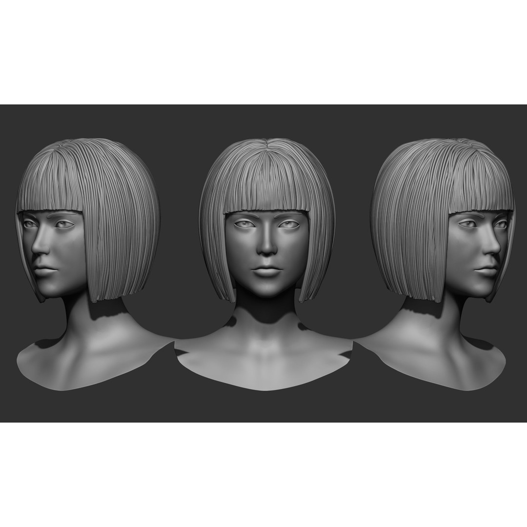 Female Hair 3D Model – High Poly Collection, ZTL, OBJ, STL - View 5