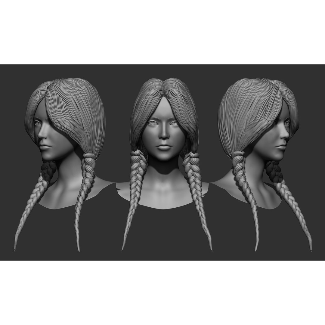 Female Hair 3D Model – High Poly Collection, ZTL, OBJ, STL - View 51