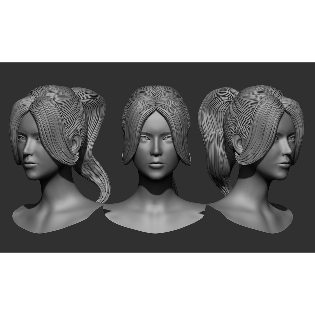Female Hair 3D Model – High Poly Collection, ZTL, OBJ, STL - View 53