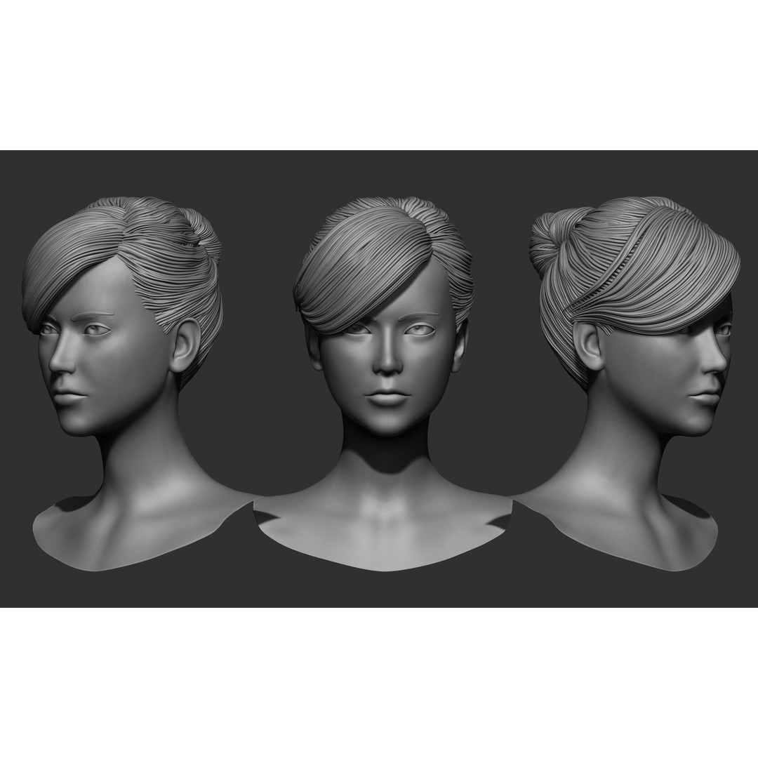 Female Hair 3D Model – High Poly Collection, ZTL, OBJ, STL - View 55