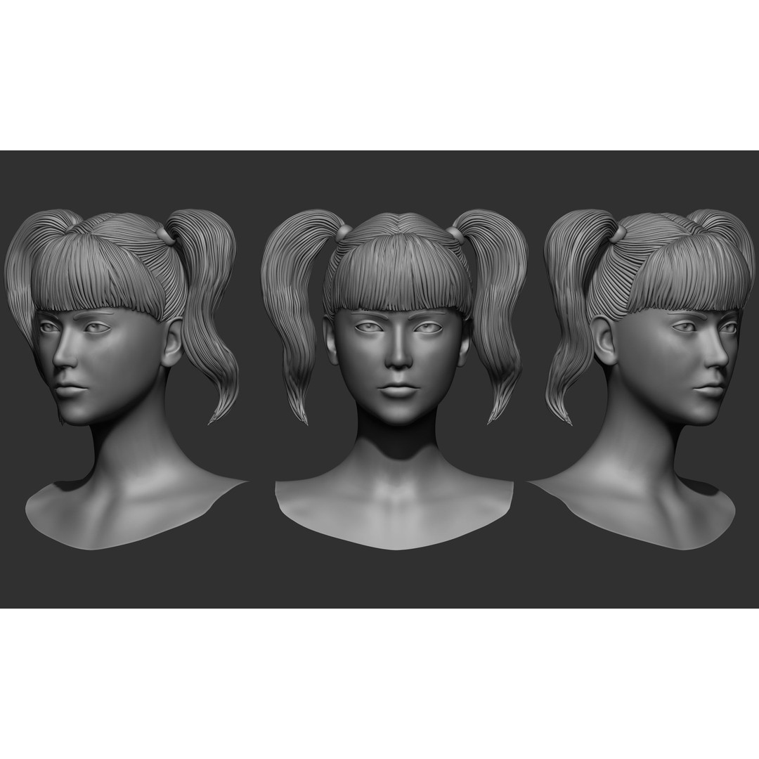 Female Hair 3D Model – High Poly Collection, ZTL, OBJ, STL - View 57