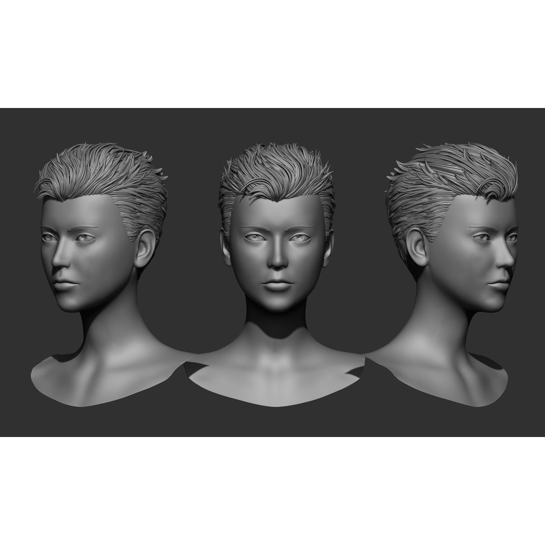 Female Hair 3D Model – High Poly Collection, ZTL, OBJ, STL - View 7