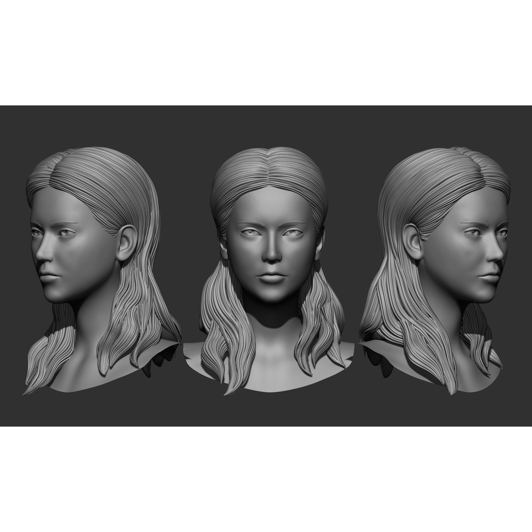 Female Hair 3D Model – High Poly Collection, ZTL, OBJ, STL - View 9
