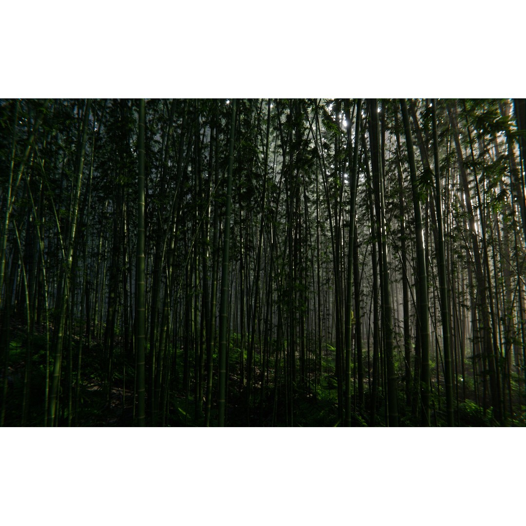 Bamboo Forest 3D Model – High Poly PBR Landscape, Blender, FBX, OBJ - View 10