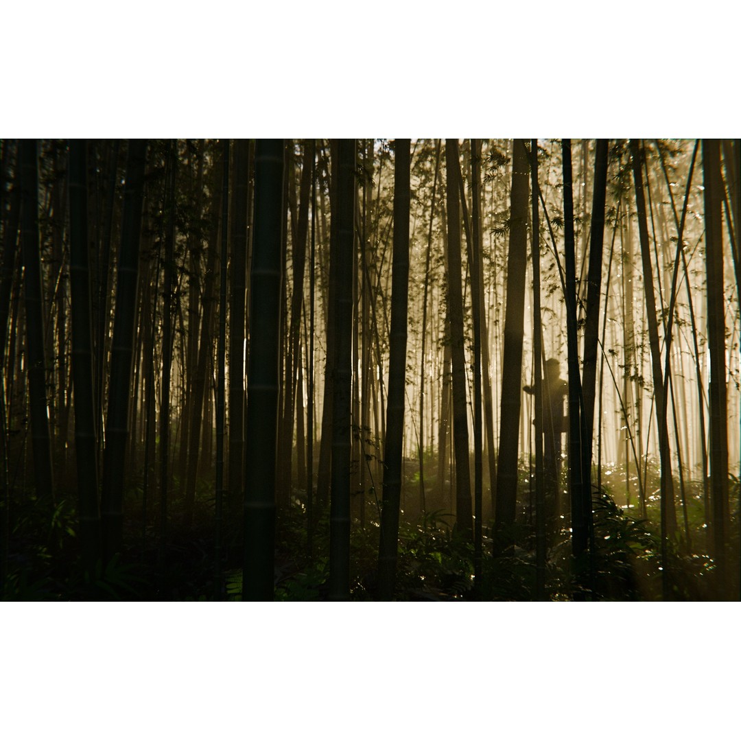 Bamboo Forest 3D Model – High Poly PBR Landscape, Blender, FBX, OBJ - View 4