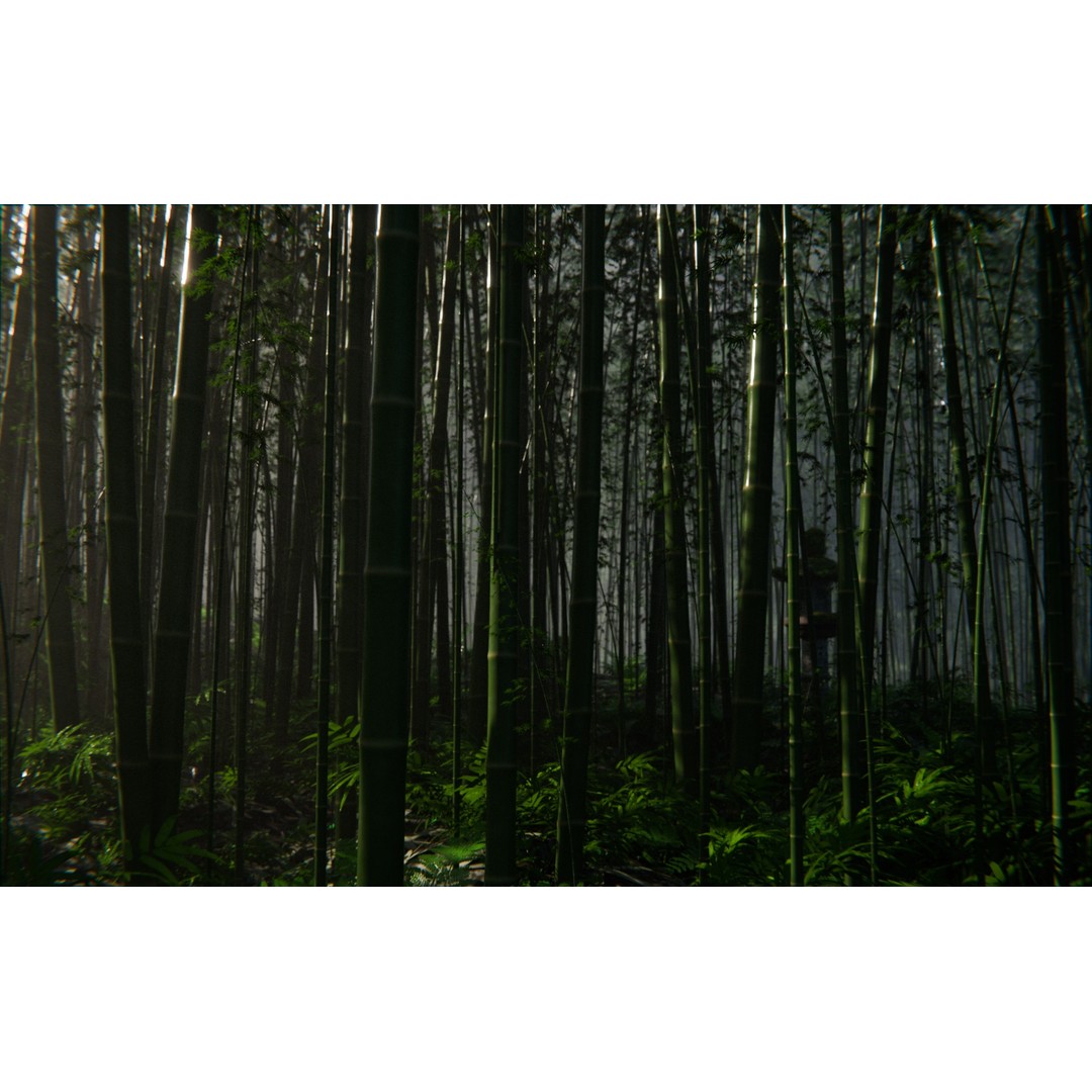 Bamboo Forest 3D Model – High Poly PBR Landscape, Blender, FBX, OBJ - View 7