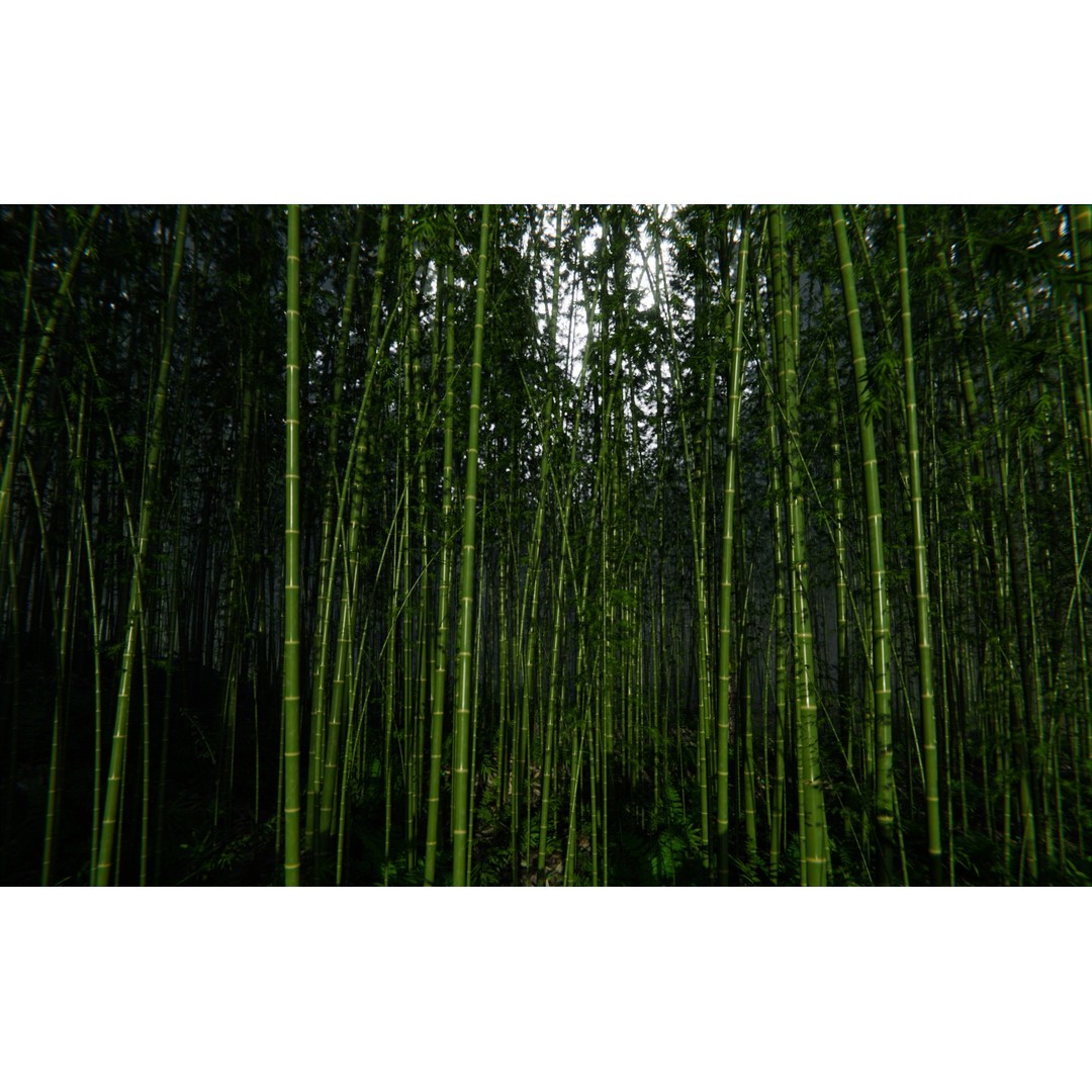 Bamboo Forest 3D Model – High Poly PBR Landscape, Blender, FBX, OBJ - View 8
