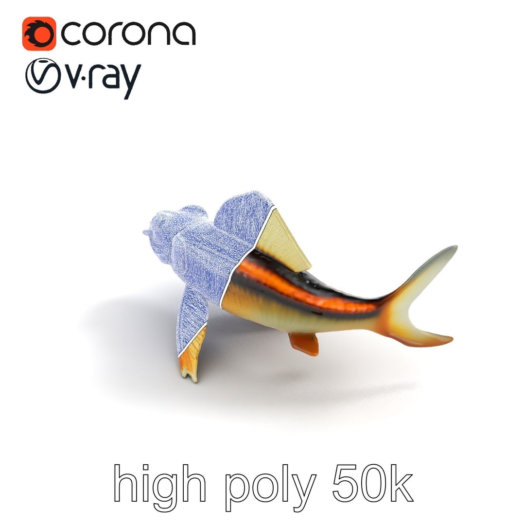 Dragonfish Stomias Boa 3D Model – Realistic Low-Poly Game Asset, FBX - View 29