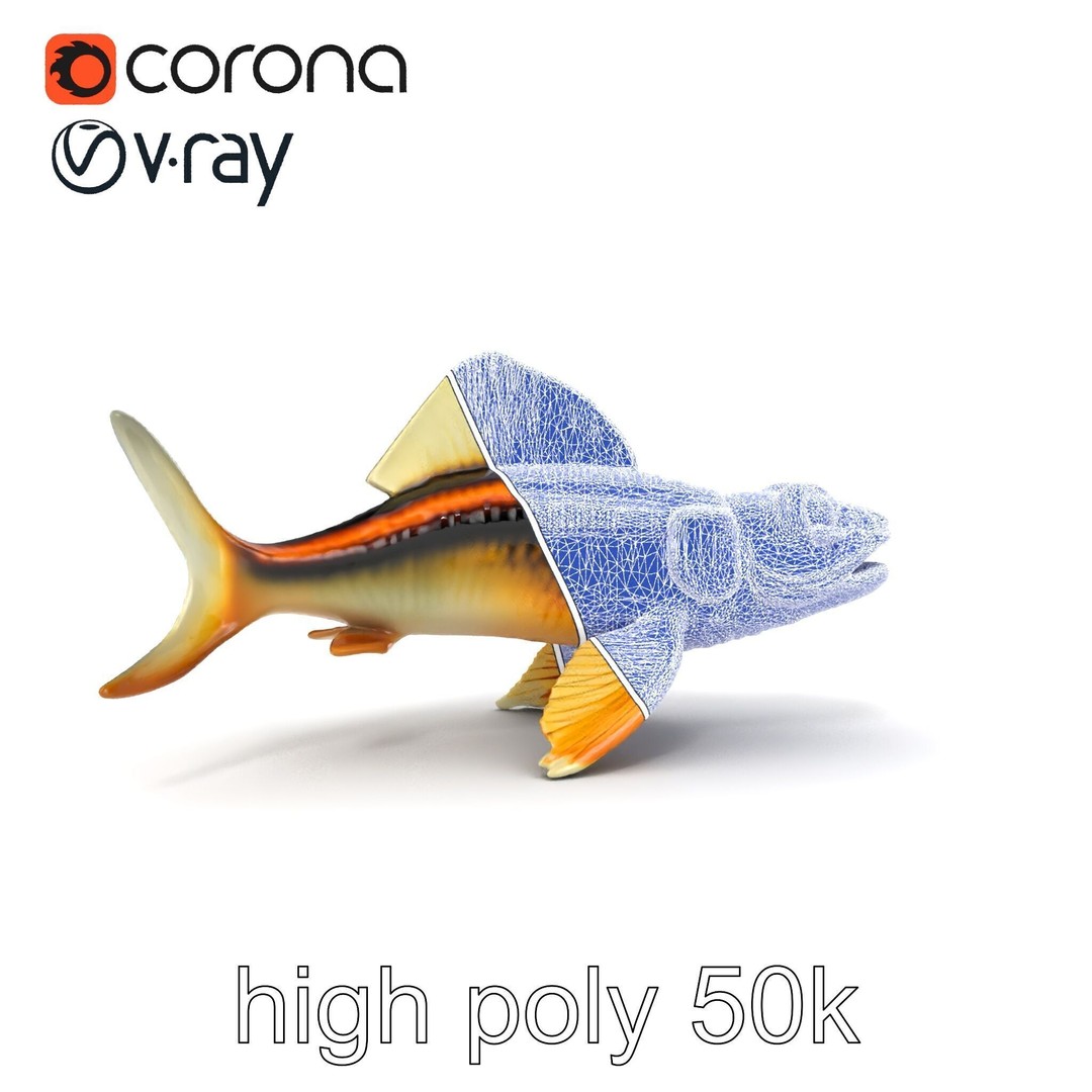 Dragonfish Stomias Boa 3D Model – Realistic Low-Poly Game Asset, FBX - View 31