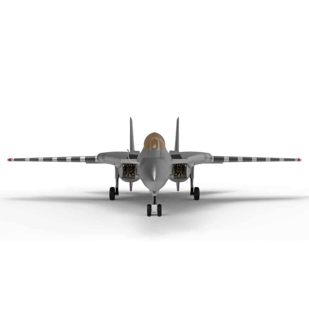 Grumman F-14 Tomcat 3D Model – Low Poly Game Asset, FBX - View 5
