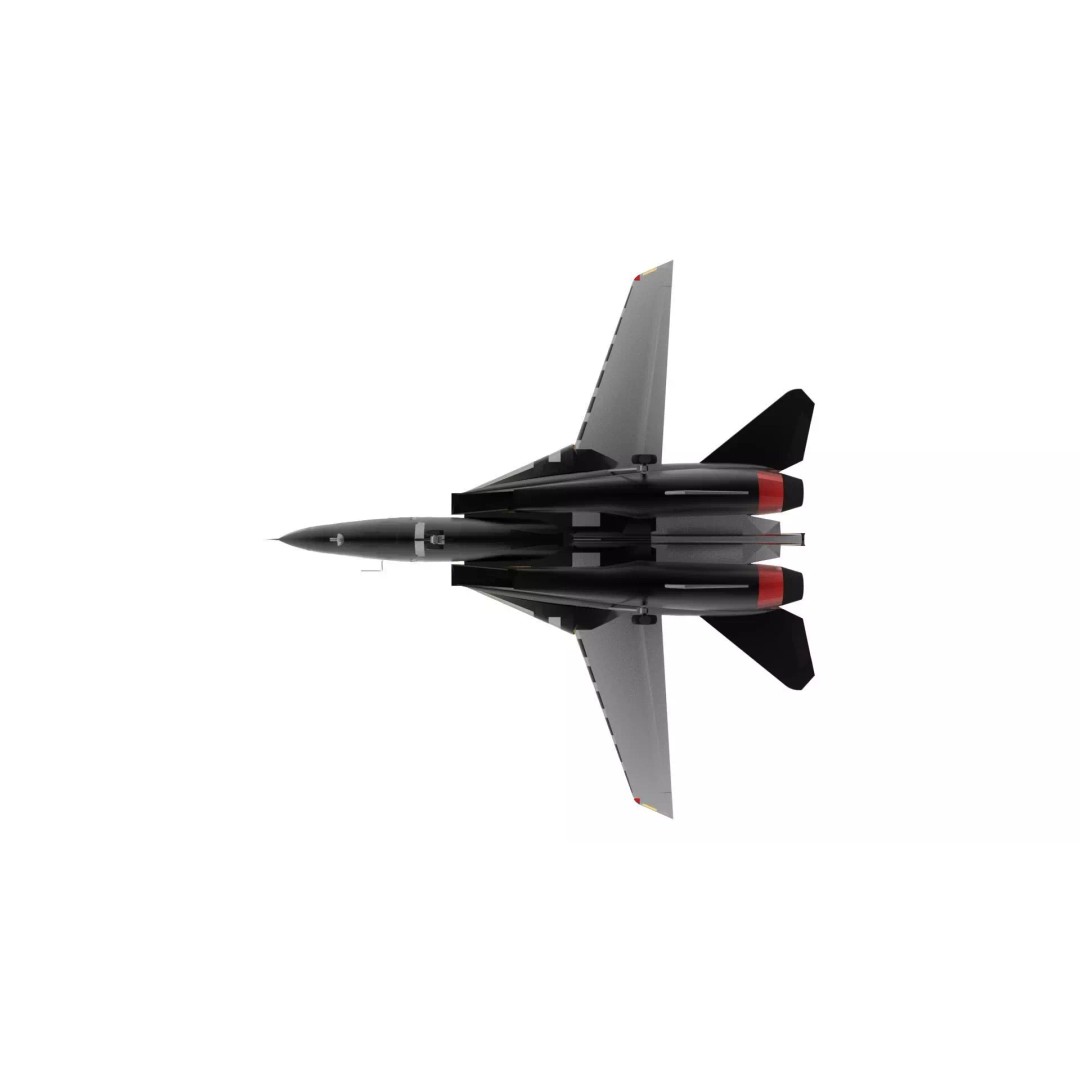 Grumman F-14 Tomcat 3D Model – Low Poly Game Asset, FBX - View 7