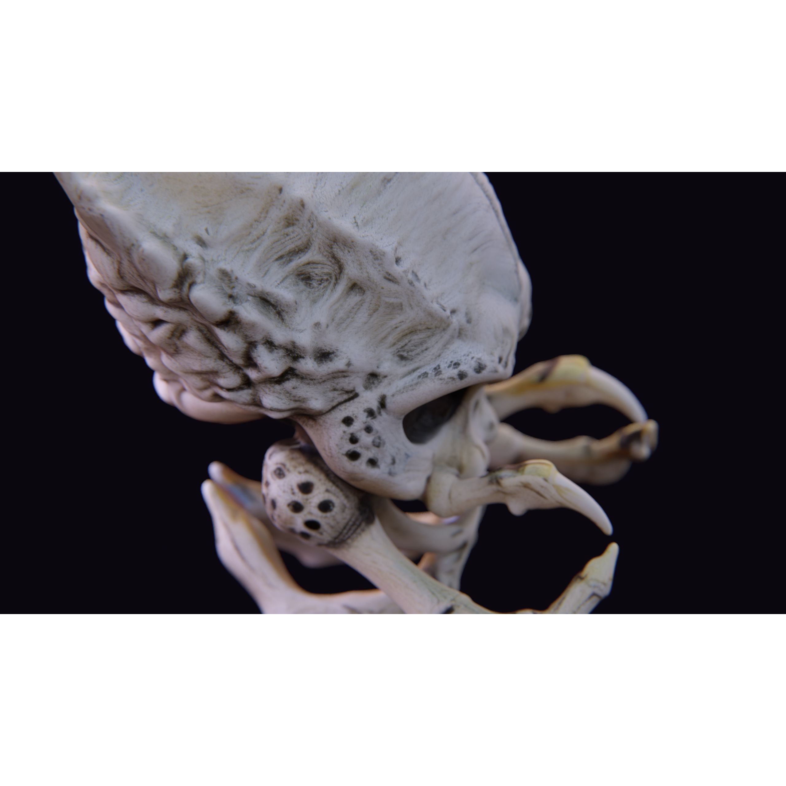 Alien Skull Artifact - Game-Ready 3D Model - View 10