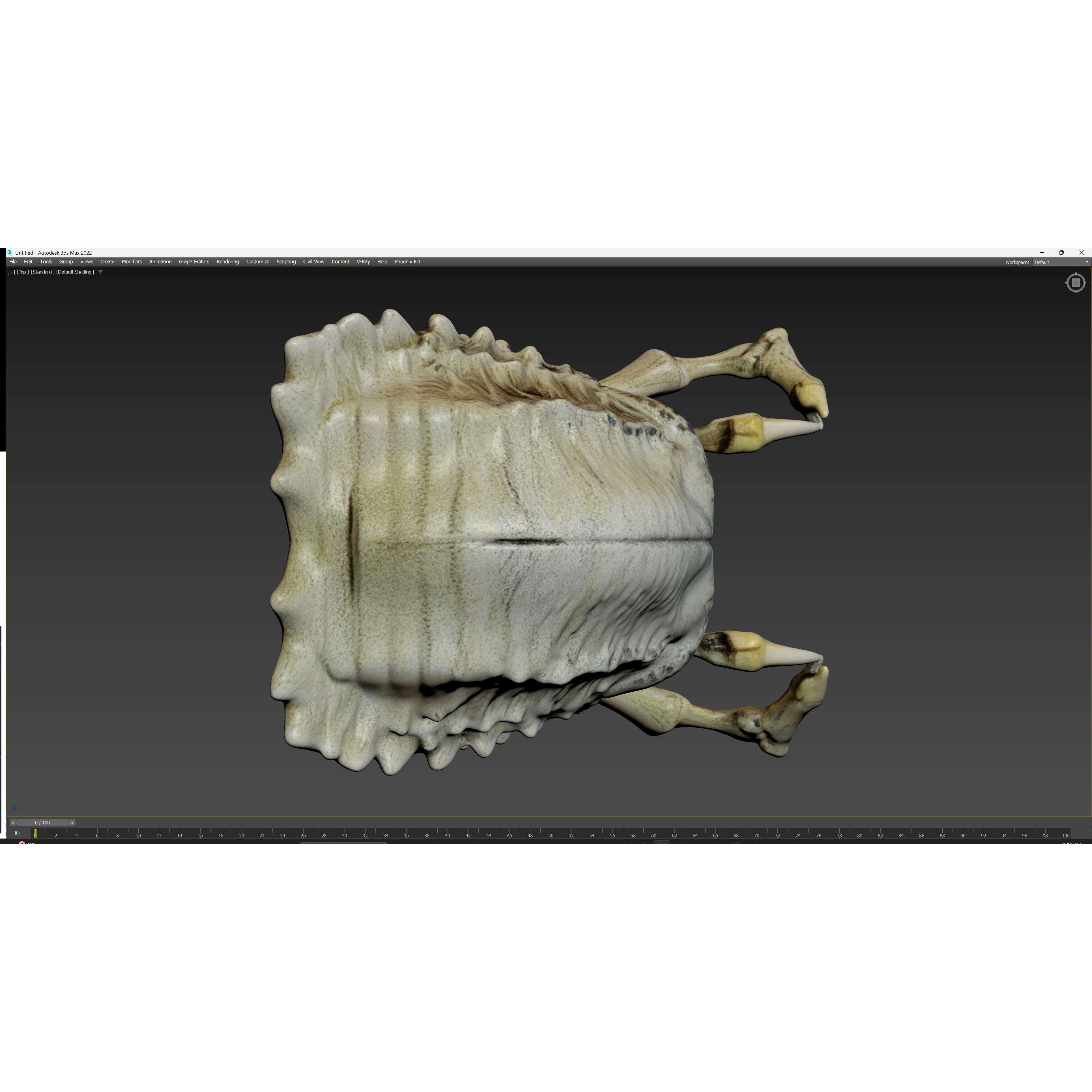 Alien Skull Artifact - Game-Ready 3D Model - View 28