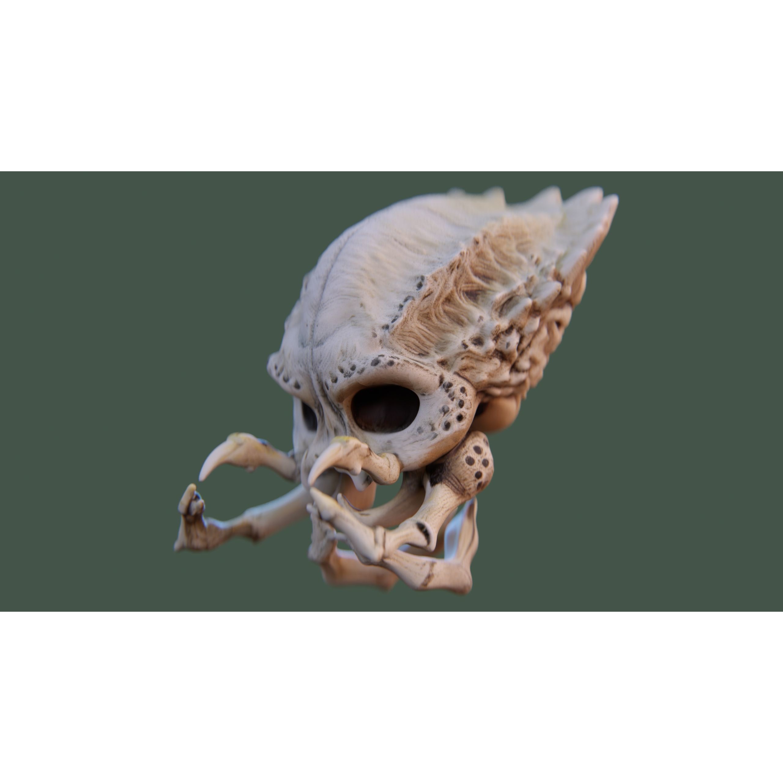 Alien Skull Artifact - Game-Ready 3D Model - View 5