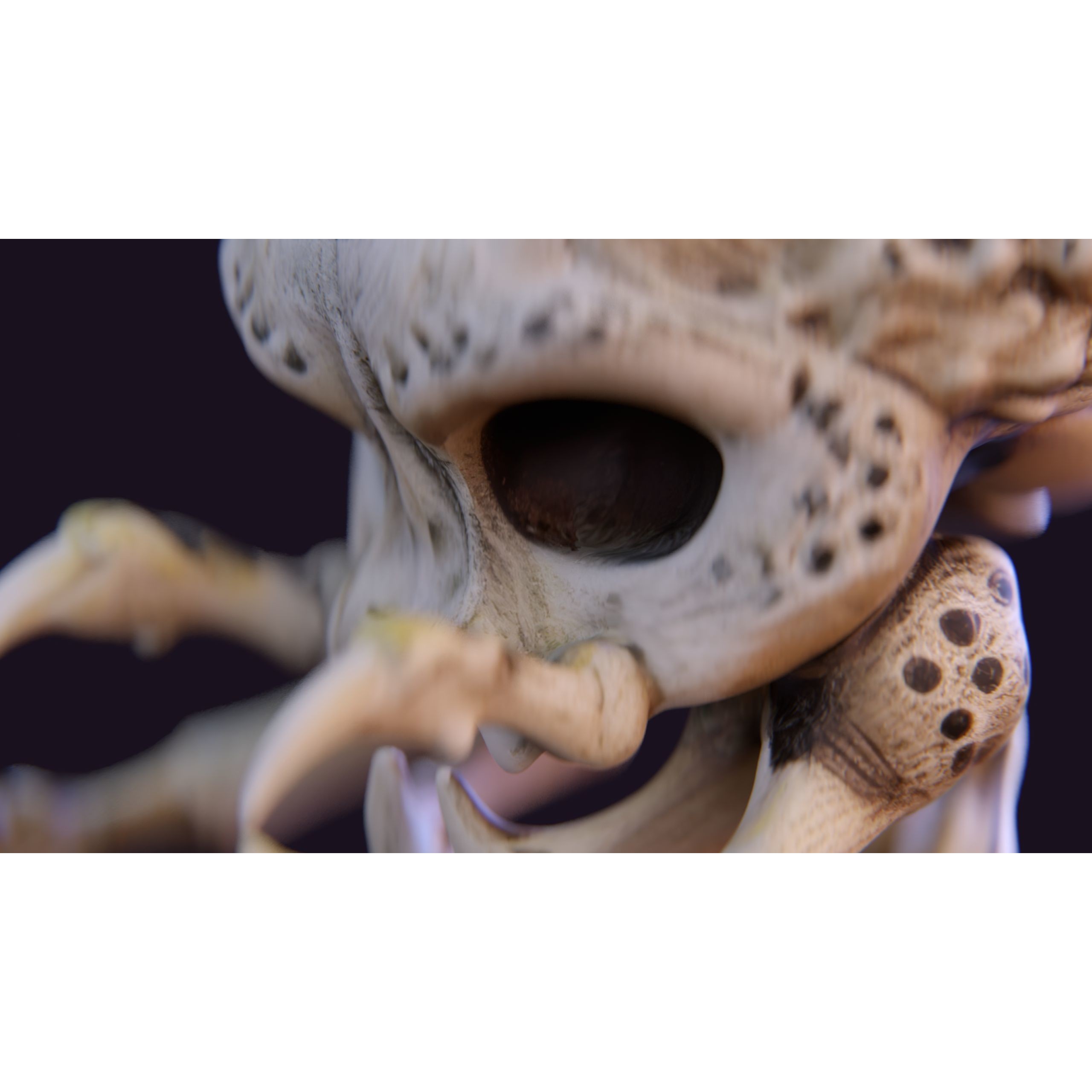 Alien Skull Artifact - Game-Ready 3D Model - View 8