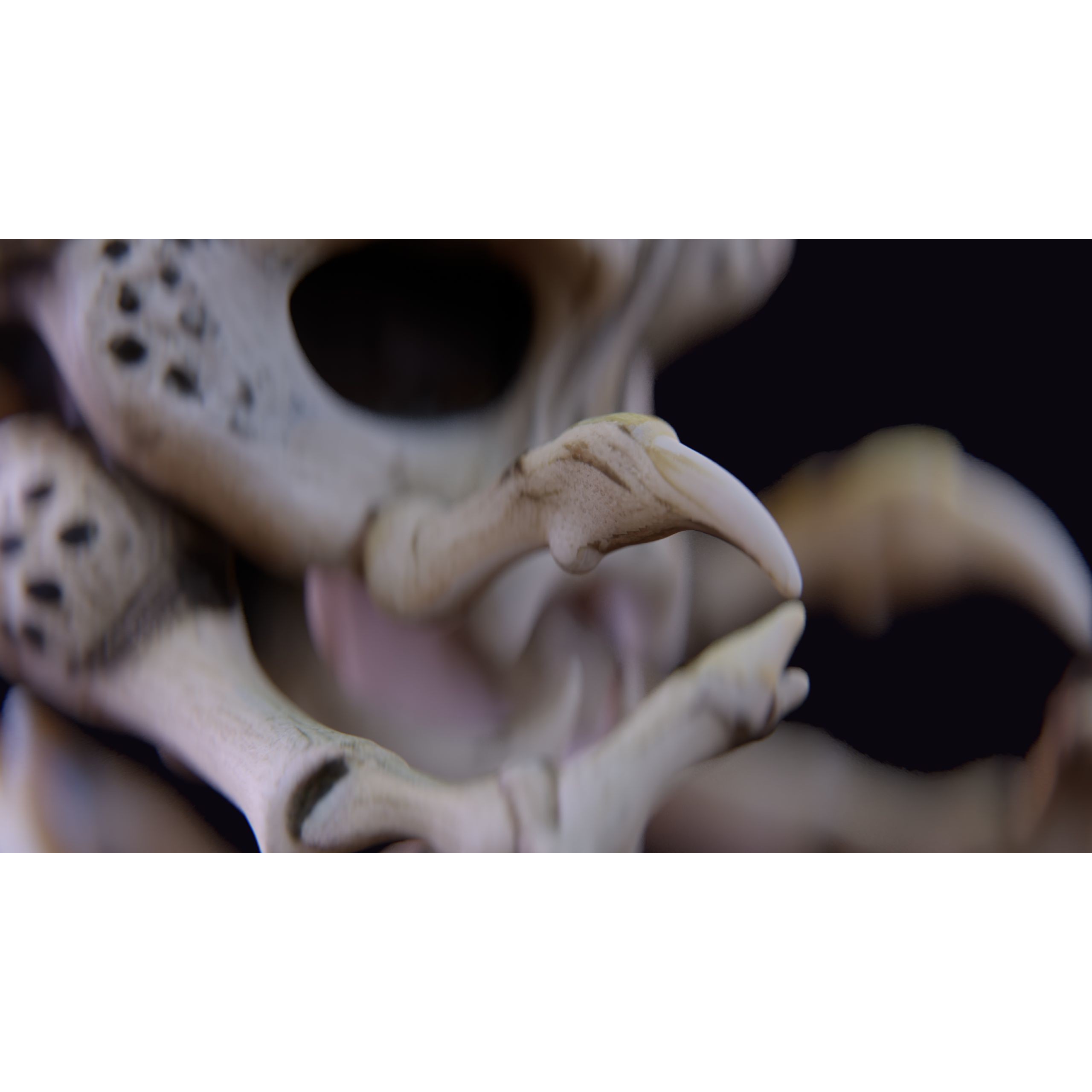 Alien Skull Artifact - Game-Ready 3D Model - View 9