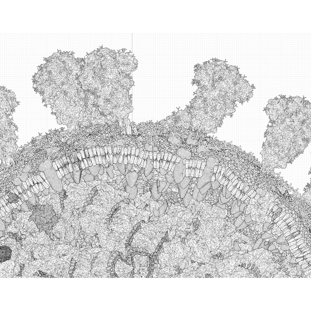 Corona Virus 3D Model – Scientifically Accurate Molecular Visualization, Blender - View 11