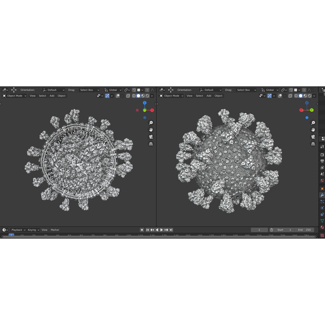 Corona Virus 3D Model – Scientifically Accurate Molecular Visualization, Blender - View 6