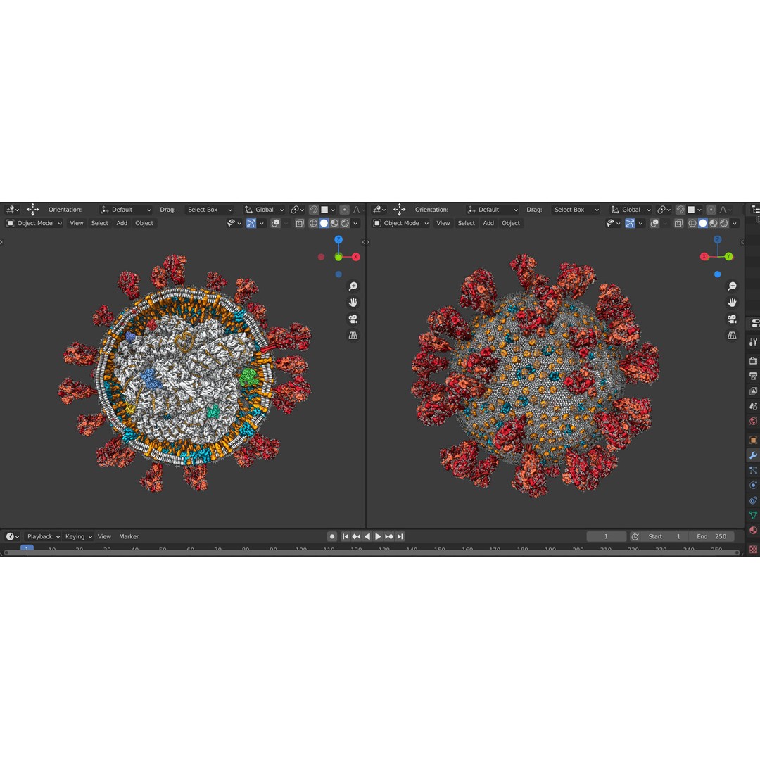 Corona Virus 3D Model – Scientifically Accurate Molecular Visualization, Blender - View 7