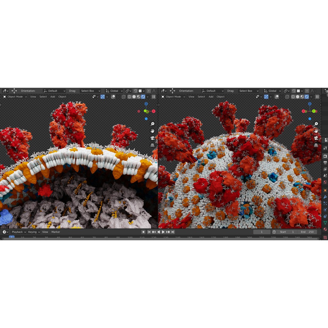 Corona Virus 3D Model – Scientifically Accurate Molecular Visualization, Blender - View 9