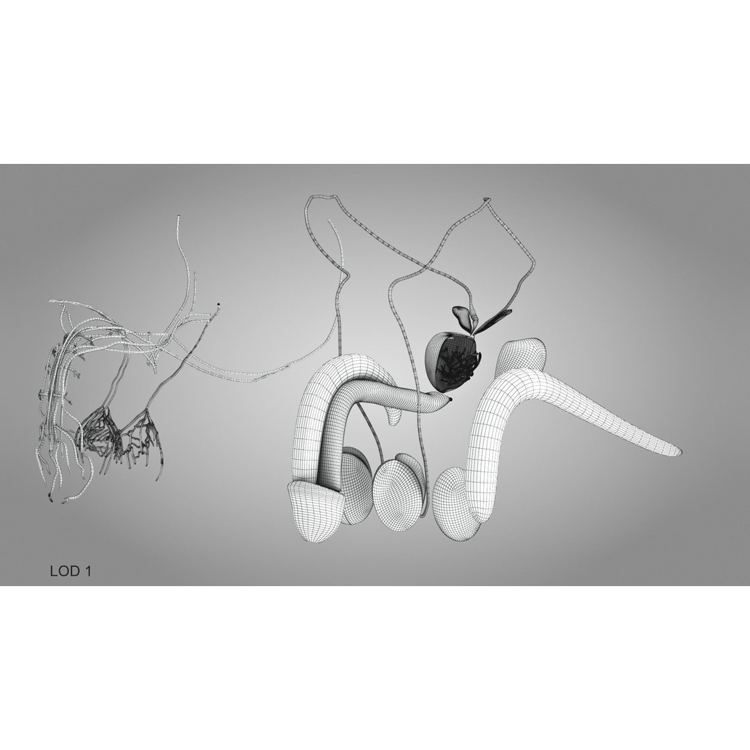 Male Reproductive and Urinary System 3D Model – Low Poly Medical Asset, FBX, Blender - View 27