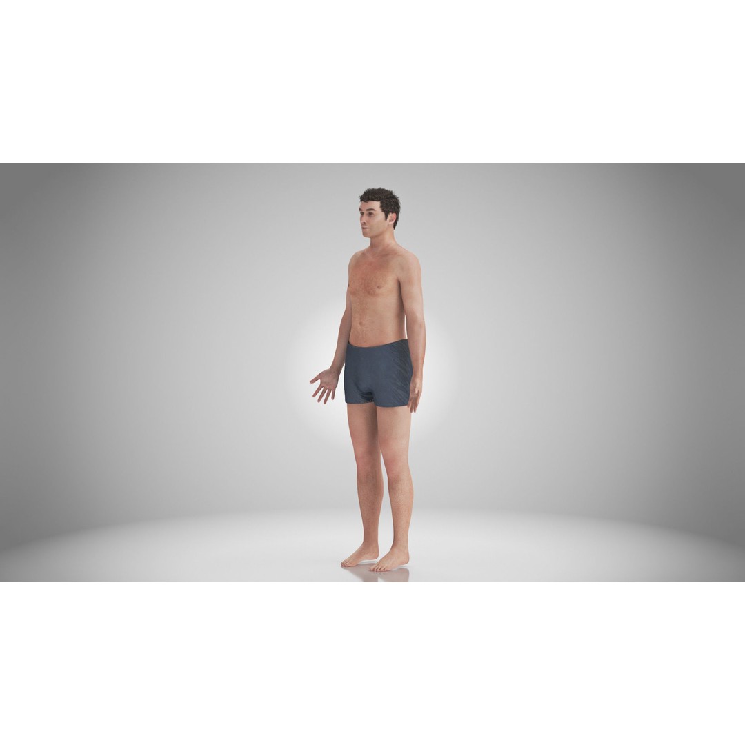 Male Reproductive and Urinary System 3D Model – Low Poly Medical Asset, FBX, Blender - View 45