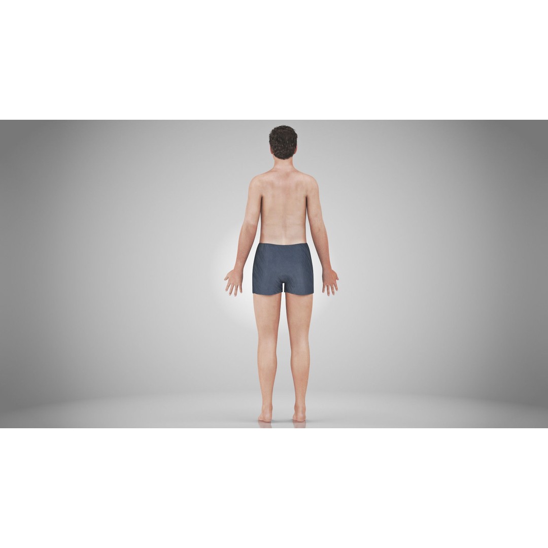 Male Reproductive and Urinary System 3D Model – Low Poly Medical Asset, FBX, Blender - View 46