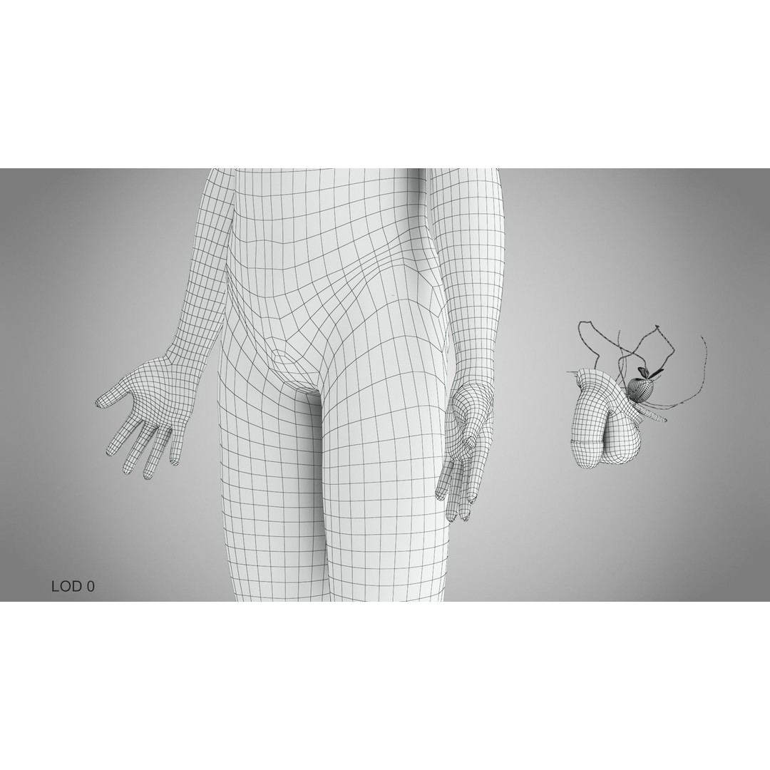 Male Reproductive and Urinary System 3D Model – Low Poly Medical Asset, FBX, Blender - View 47