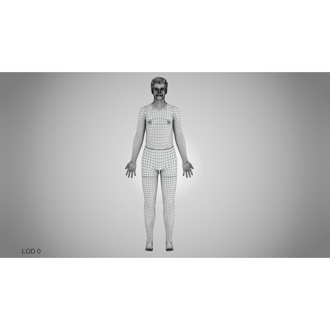 Male Reproductive and Urinary System 3D Model – Low Poly Medical Asset, FBX, Blender - View 50