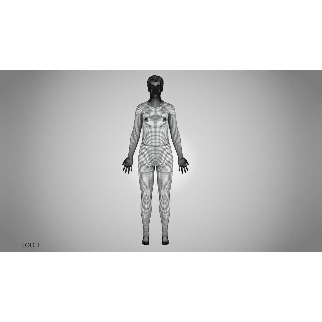Male Reproductive and Urinary System 3D Model – Low Poly Medical Asset, FBX, Blender - View 52