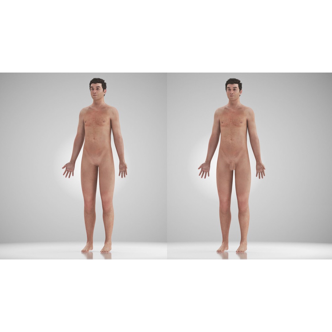 Male Reproductive and Urinary System 3D Model – Low Poly Medical Asset, FBX, Blender - View 54