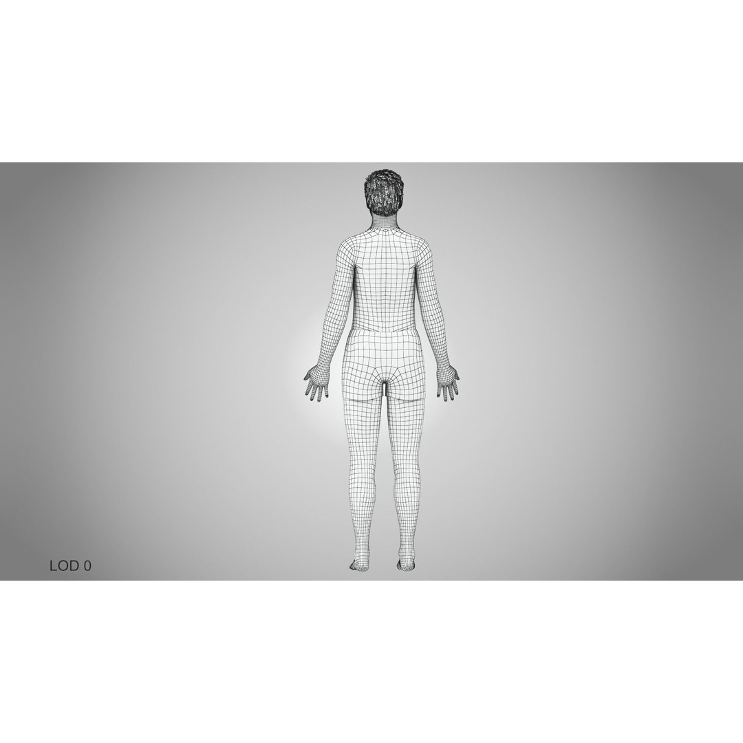 Male Reproductive and Urinary System 3D Model – Low Poly Medical Asset, FBX, Blender - View 55