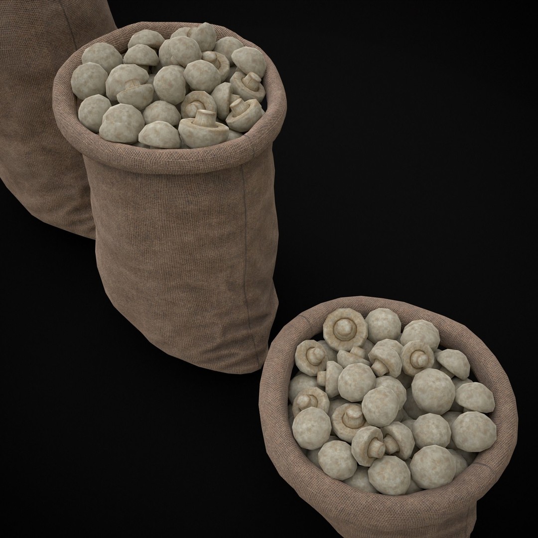 Burlap Sacks of Mushrooms 3D Model – Low Poly PBR Asset, FBX, OBJ - View 18